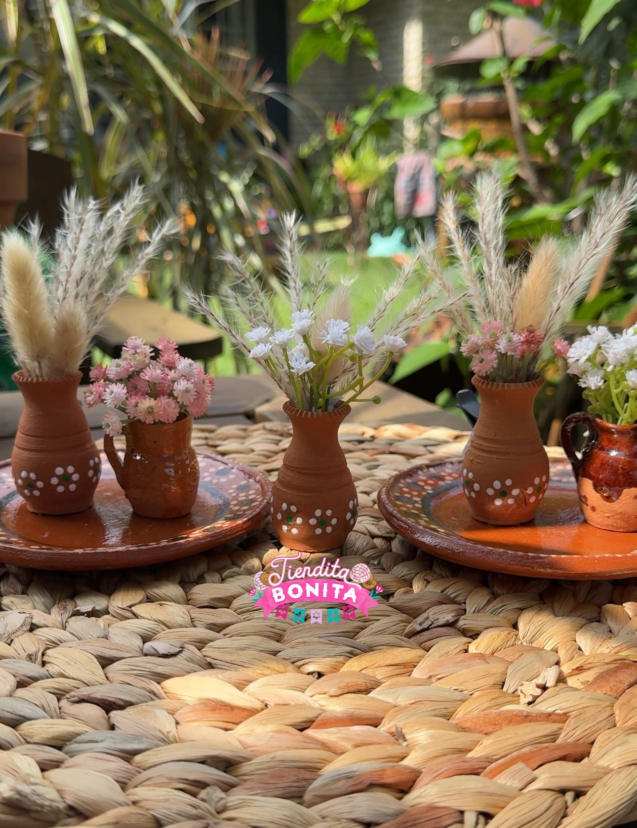 Mini ollita car clip