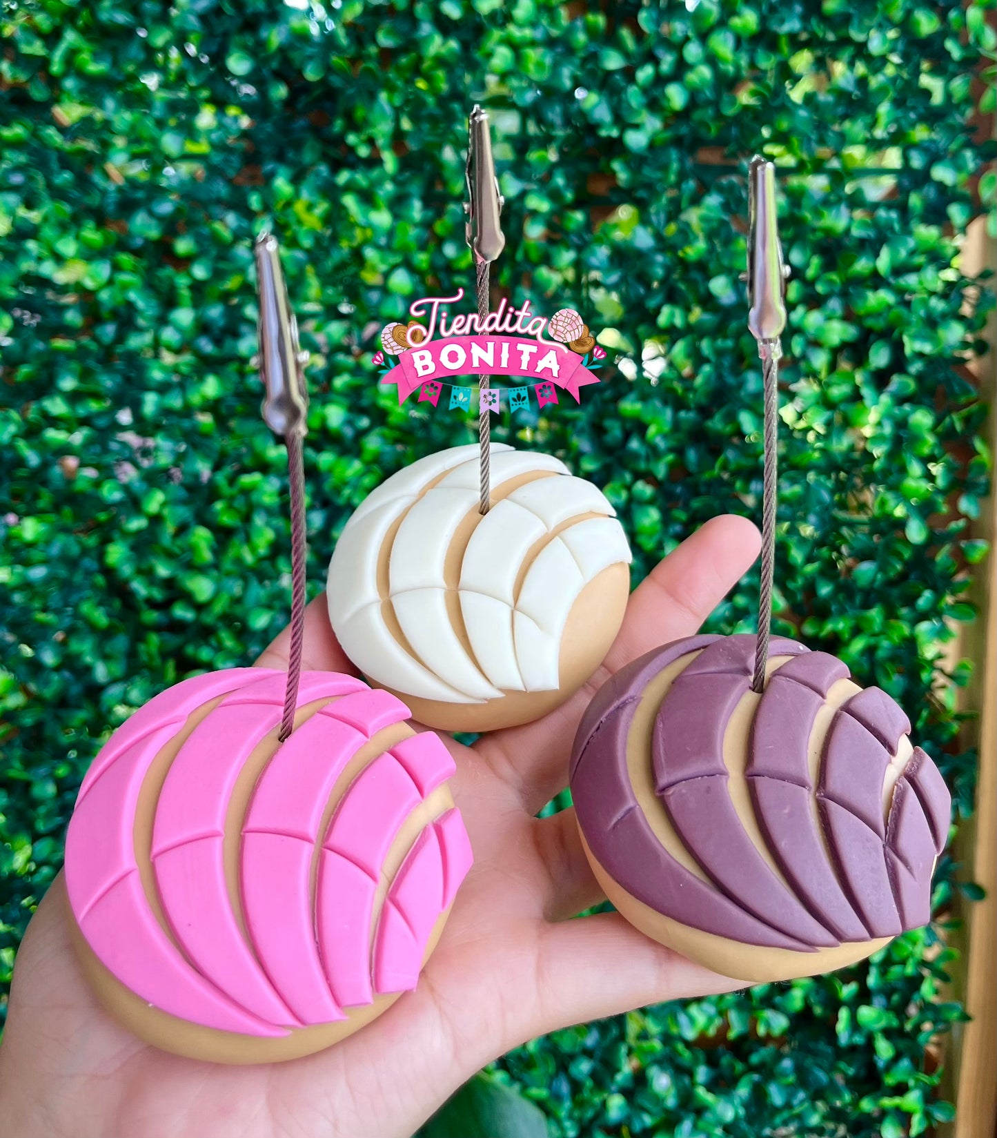 Concha photo holders