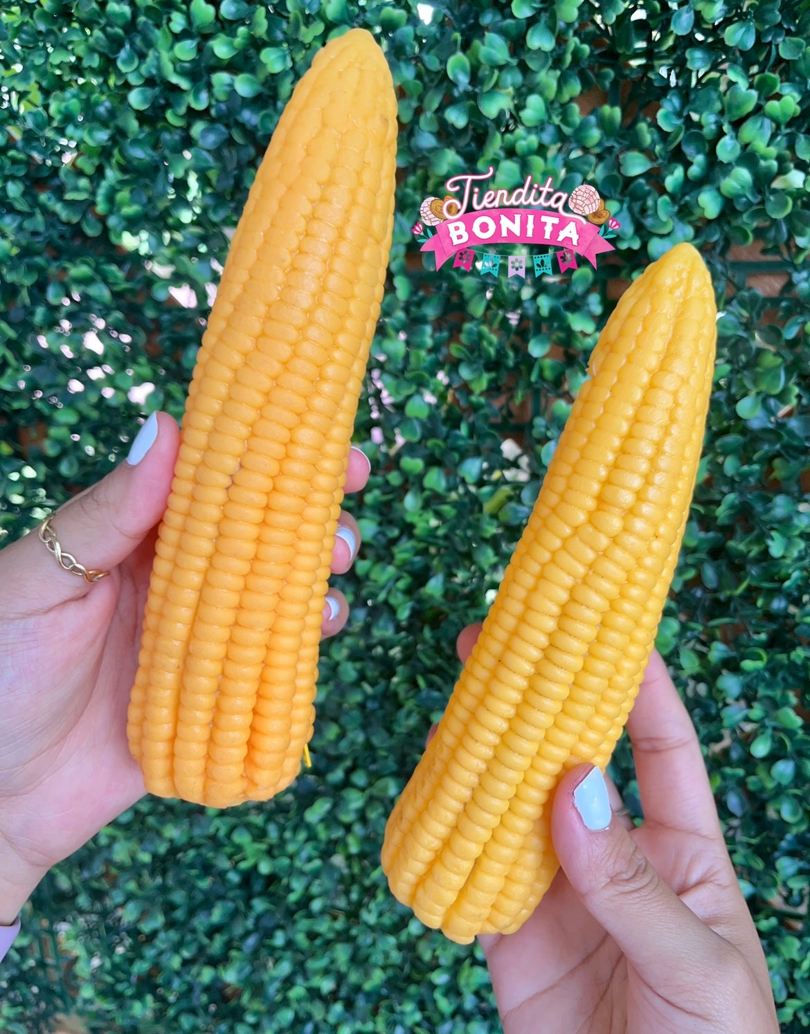 Elote monedero