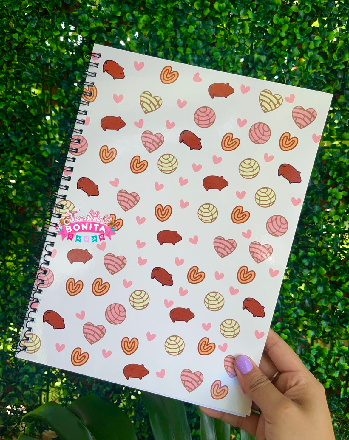 Notebooks