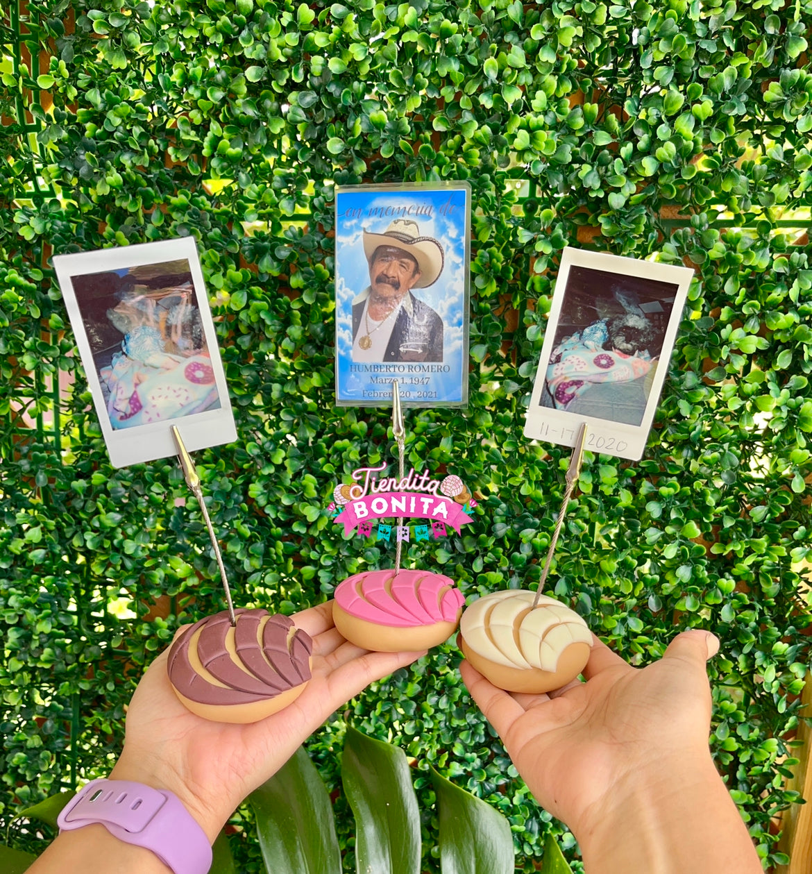 Concha photo holders