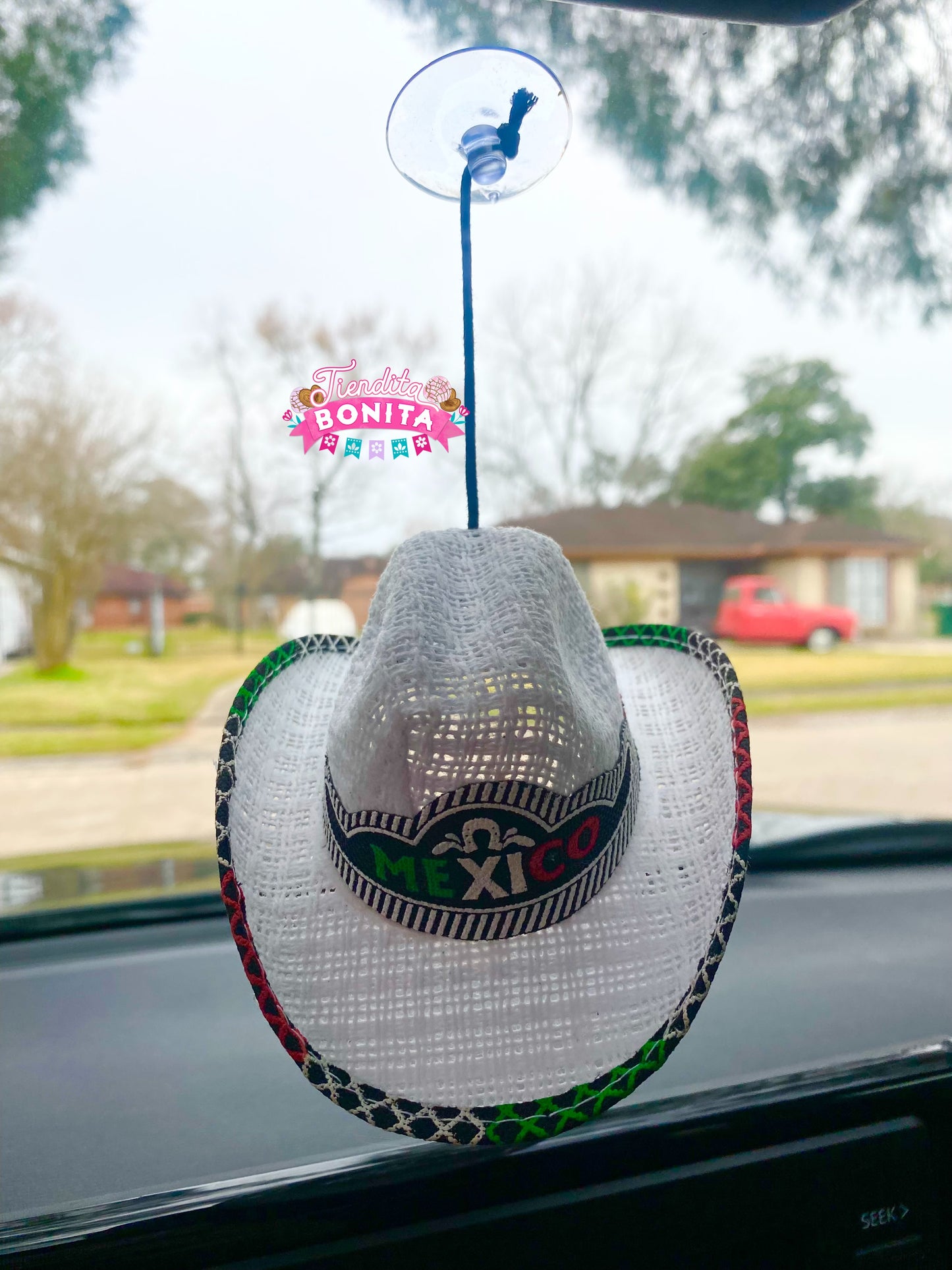 Car rear view mirror decor