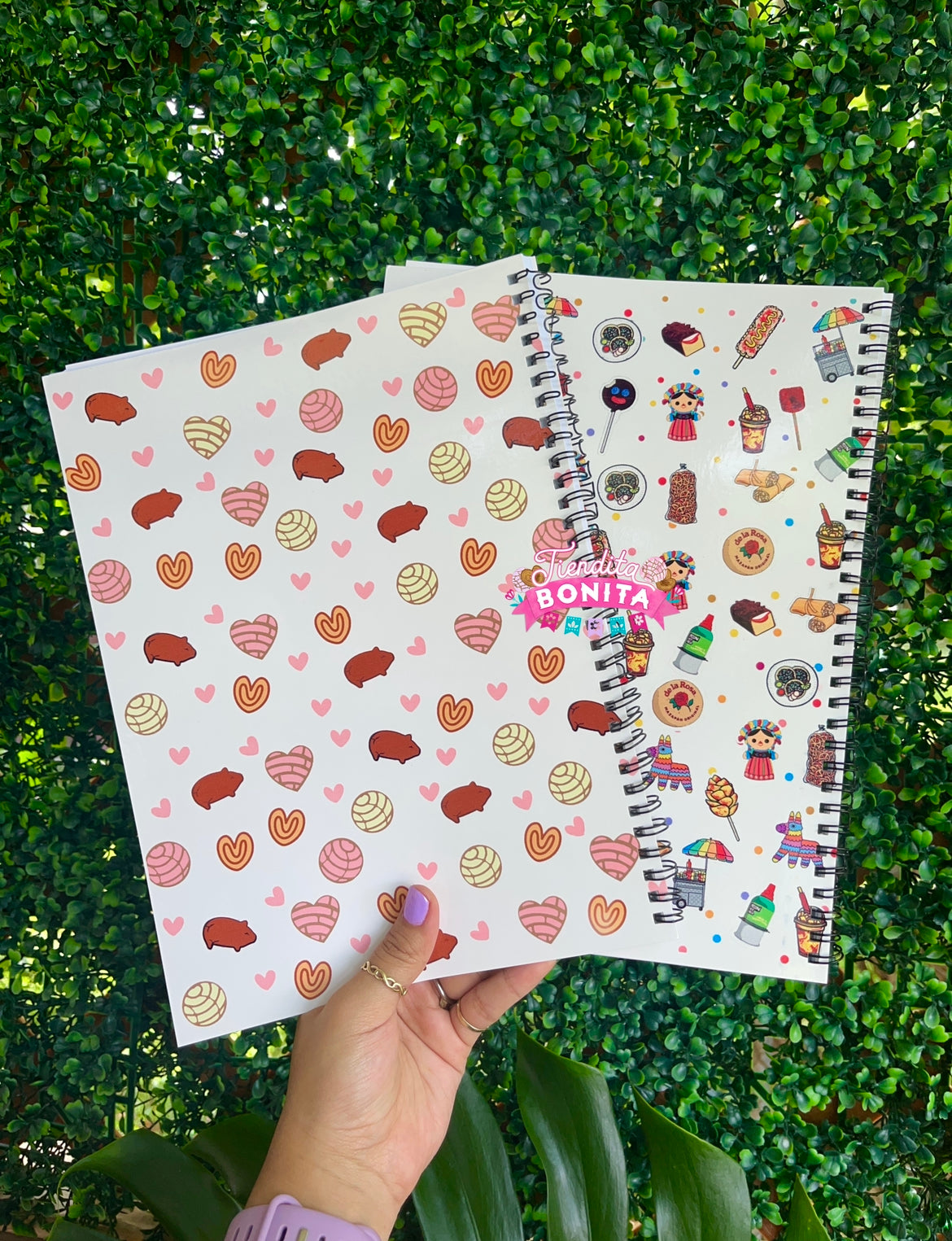 Notebooks