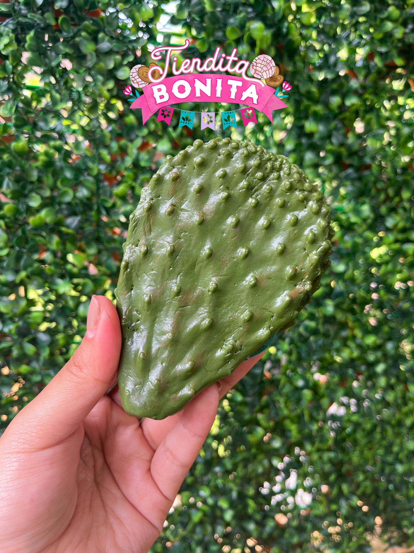Nopal and aguacate coin purses
