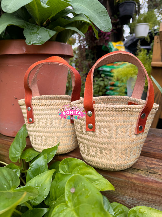 Mini Palma bag